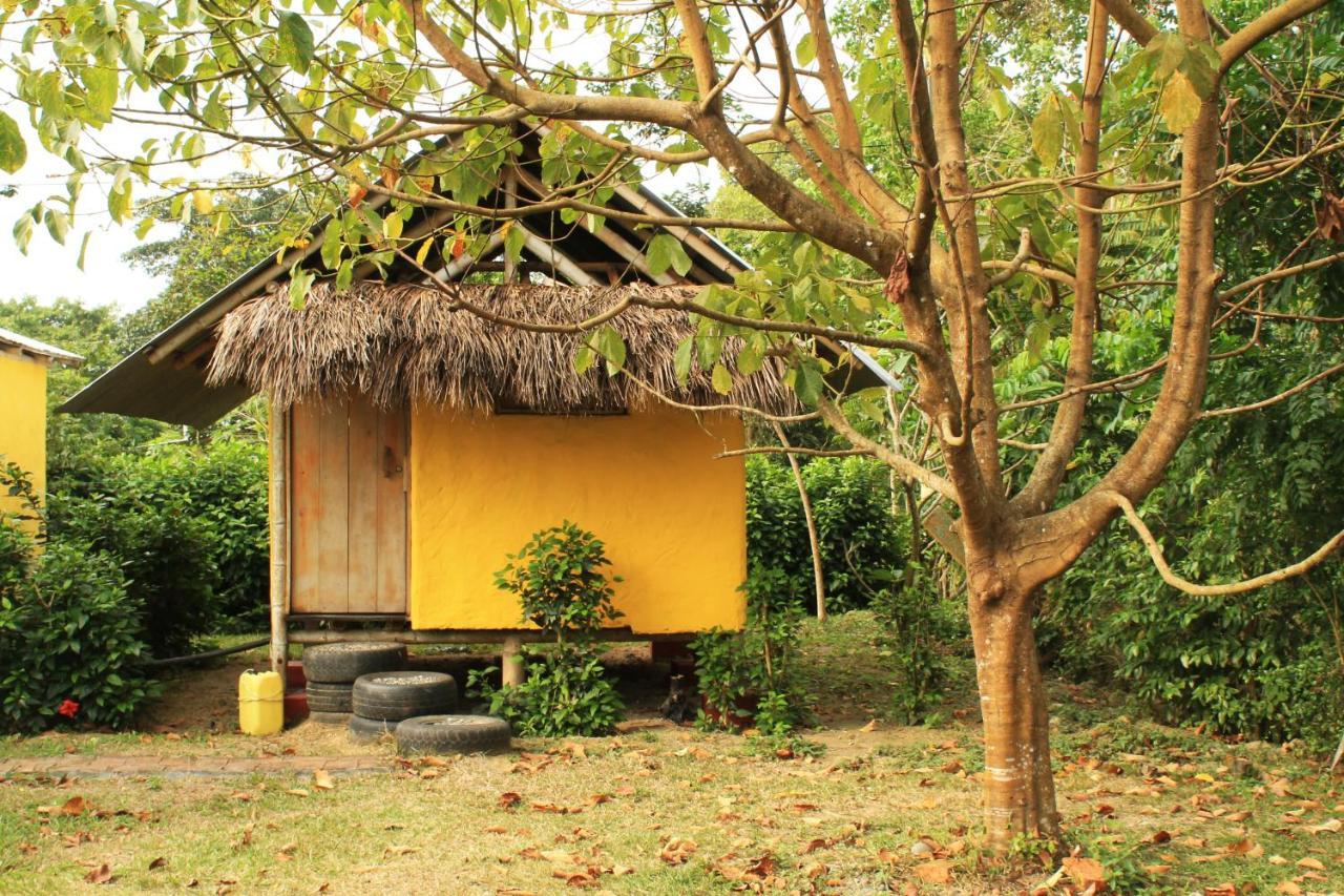 Maracumbo Lodge Mompiche Exterior foto